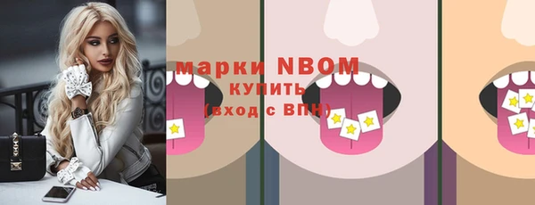 дмт Богородицк