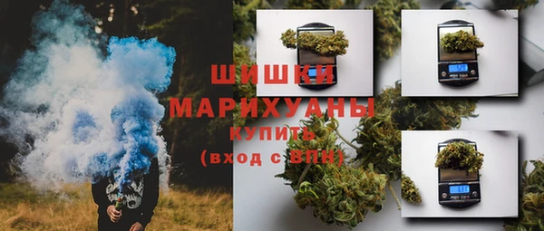 дмт Богородицк
