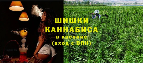 дмт Богородицк