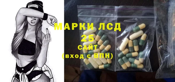 дмт Богородицк