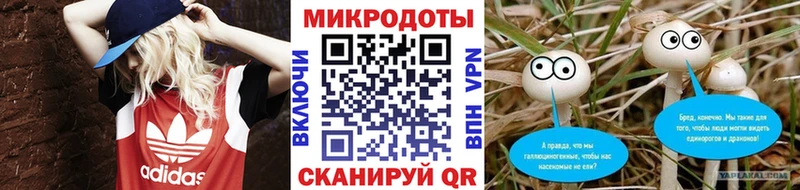 Псилоцибиновые грибы мицелий наркотики Кировград